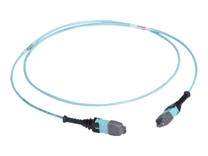 Black Box - Trunk cable - MTP/MPO type A multi-mode to MTP/MPO type A multi-mode - 15 m - 0.3 in - fiber optic - OM3 - OFNP - FOTC20M3MP24AQ-15R2
