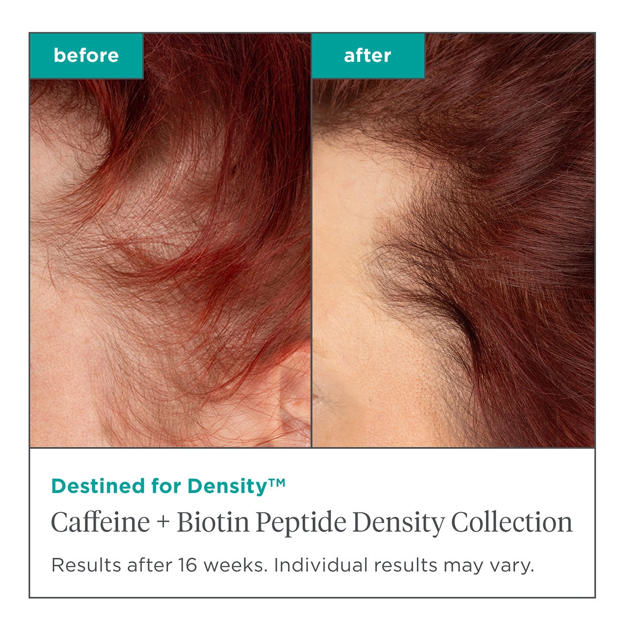 Destined for Density Caffeine and Biotin Peptide Density Shampoo