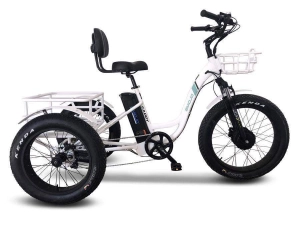 Emojo Caddy Pro Electric Trike [48V 500W Fat Tire Tricycle]