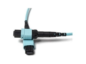 Fiber Cables Direct - Patch cable - MTP/MPO multi-mode (F) to MTP/MPO multi-mode (F) - 7 m - fiber optic - 50 / 125 micron - FCDUS362V10507