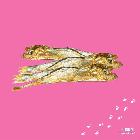 Gunni's Whole Herring Treats for Dogs