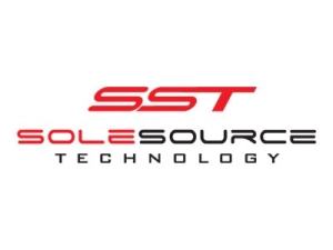 Sole Source - DDR4 - module - 128 GB - DIMM 288-pin - 2933 MHz / PC4-23400 SGD429LR28QR4/128GB