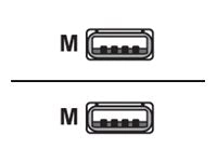 VeriFone - USB cable - USB (M) to USB (M) - 13.4 ft CBL280-025-02-A